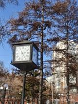 Первухин Александр Алексеевич